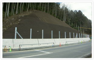 県単　地方特定道路整備(改良)工事のイメージ